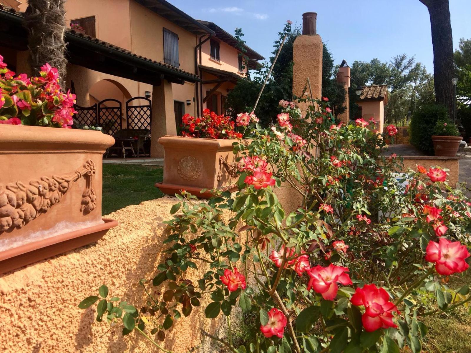 Agriturismo Terranera スカンサーノ エクステリア 写真