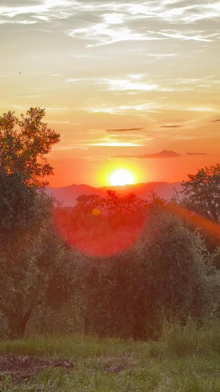 Agriturismo Terranera スカンサーノ エクステリア 写真