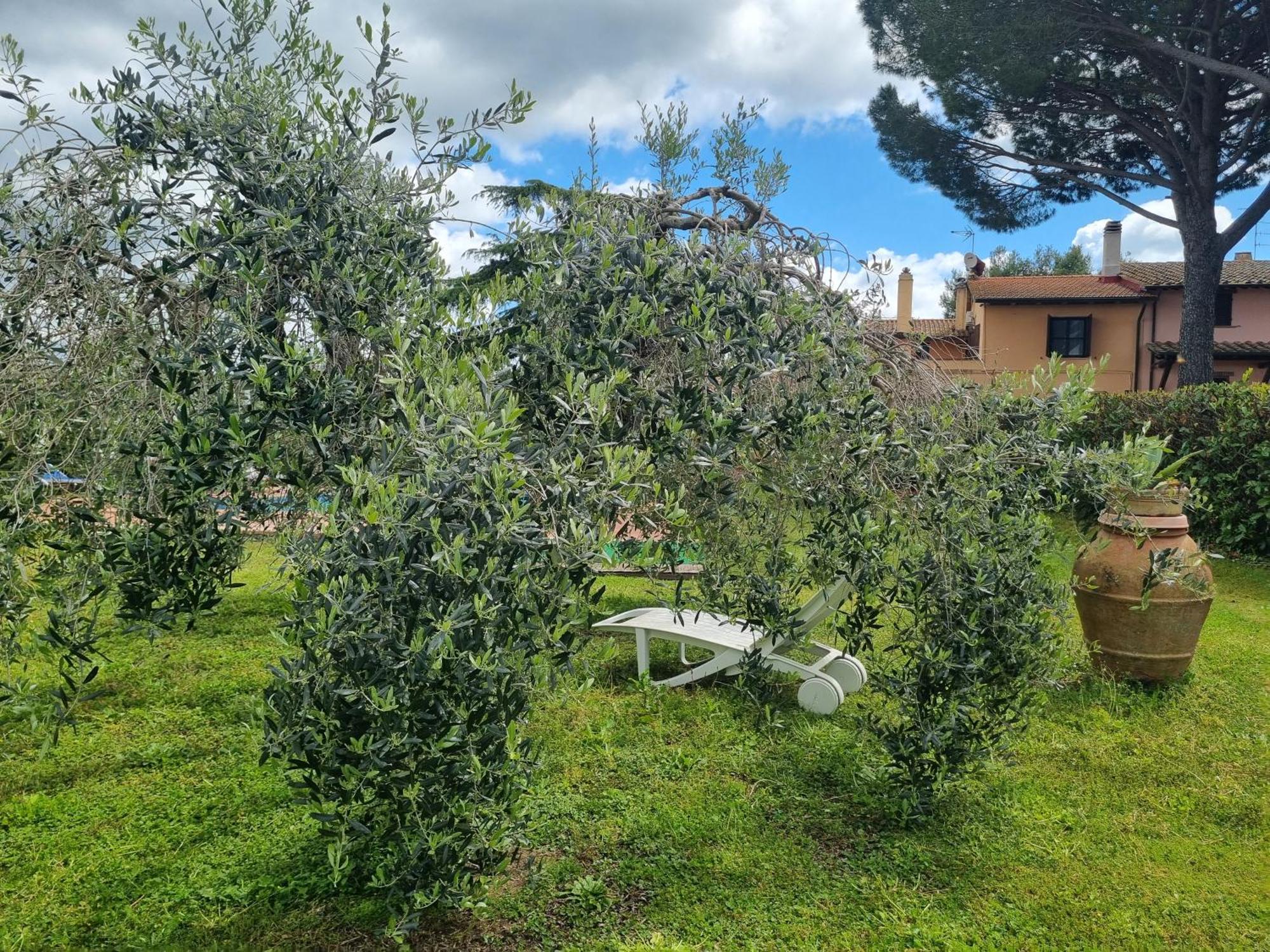 Agriturismo Terranera スカンサーノ エクステリア 写真