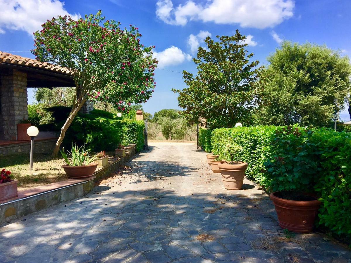 Agriturismo Terranera スカンサーノ エクステリア 写真