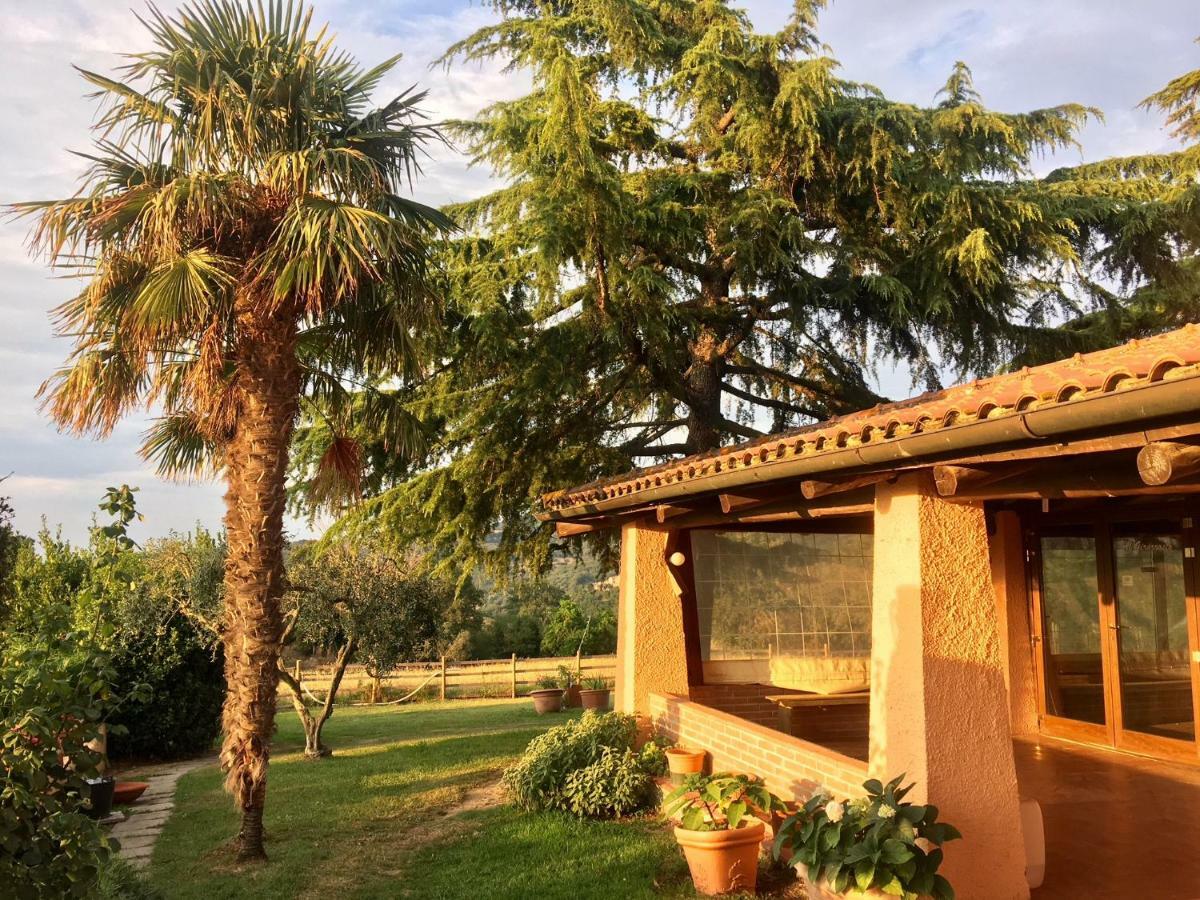 Agriturismo Terranera スカンサーノ エクステリア 写真