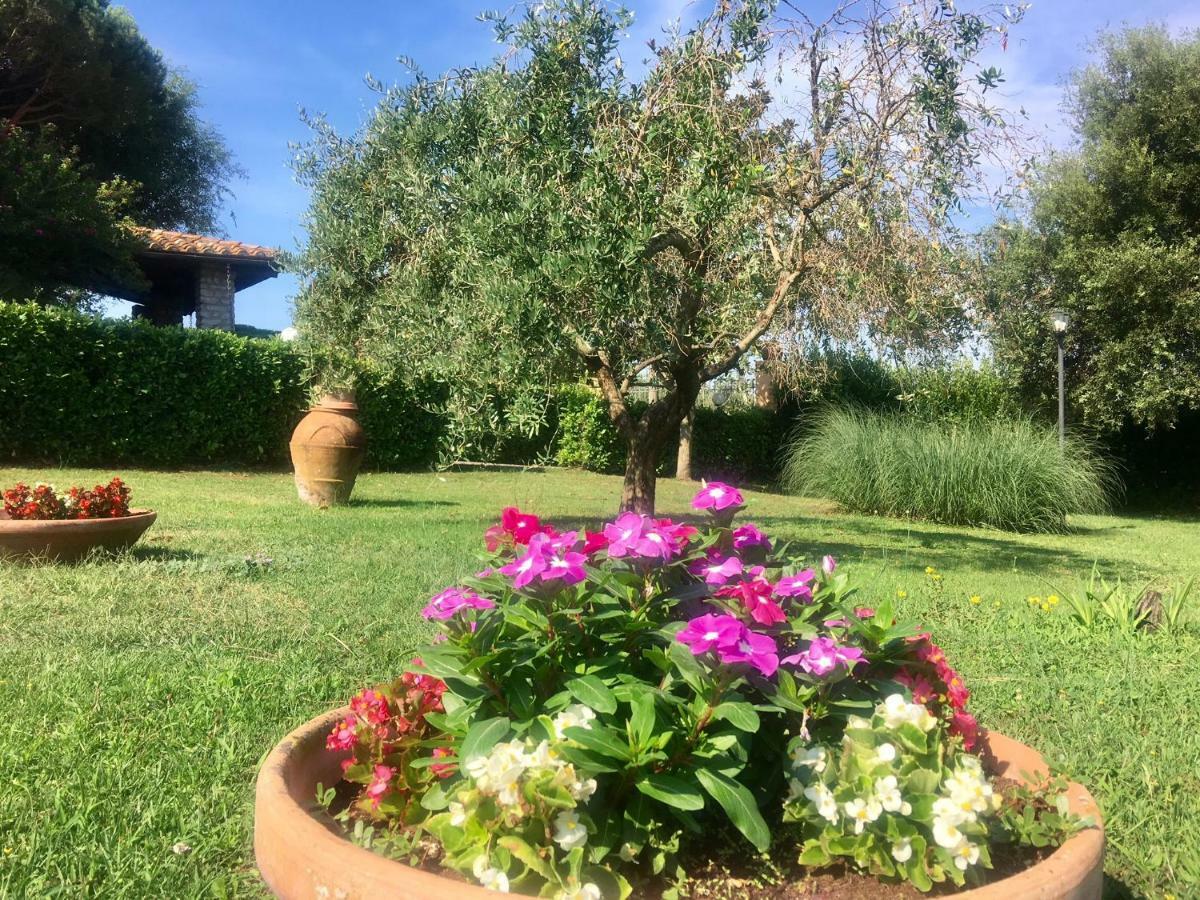 Agriturismo Terranera スカンサーノ エクステリア 写真